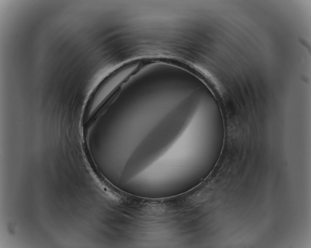 X0000091910935200709121514