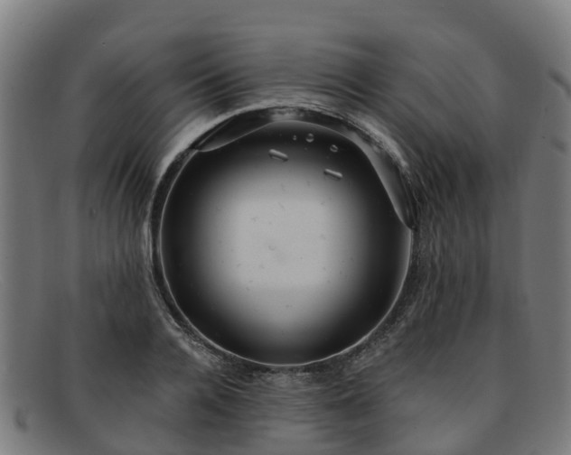 X0000091910936200709121514