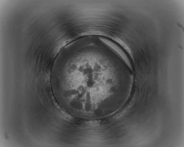 X0000091910937200709121514