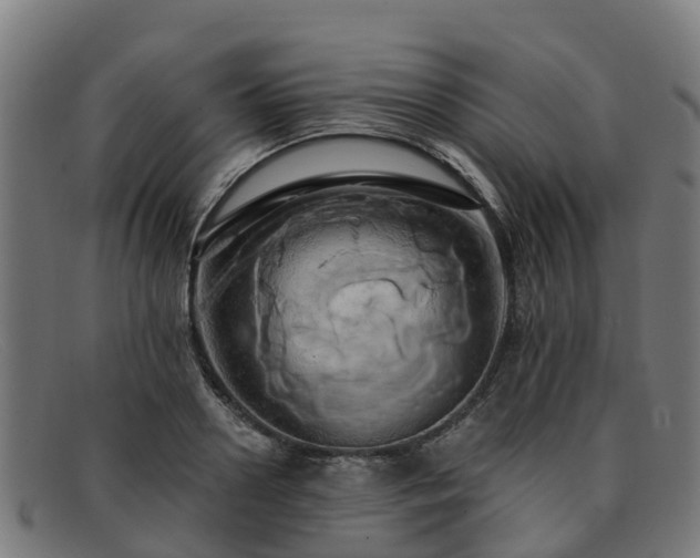 X0000091910938200709121514