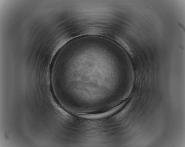 X0000091910939200709121514