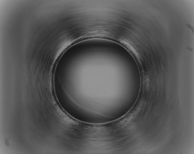 X0000091910941200709121514