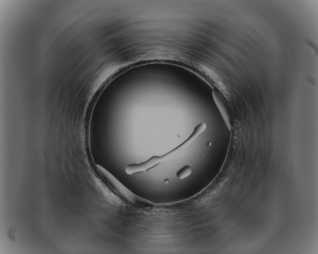 X0000091910942200709121514