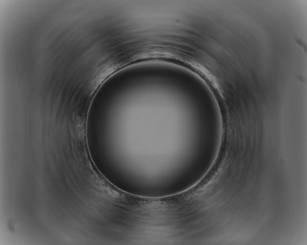 X0000091910945200709121514