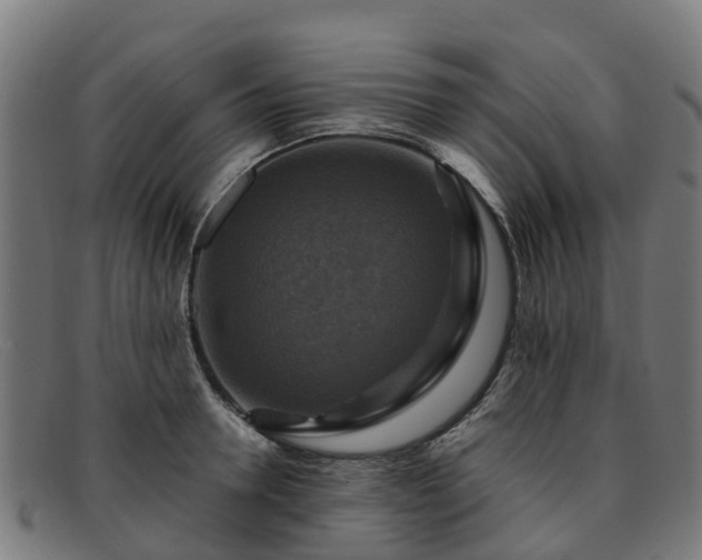 X0000091910946200709121515