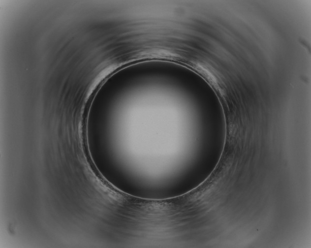 X0000091910947200709121515