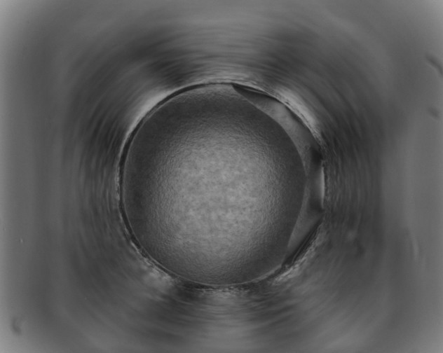 X0000091910948200709121515