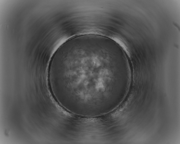 X0000091910949200709121515