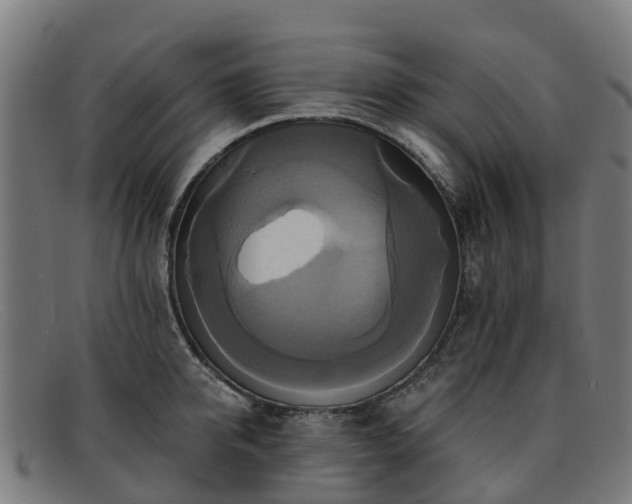 X0000091910950200709121515