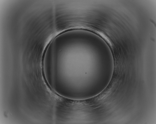 X0000091910951200709121515