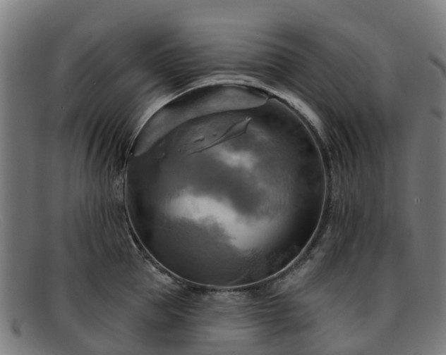 X0000091910953200709121515