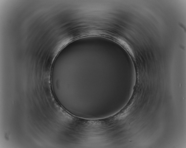 X0000091910954200709121515