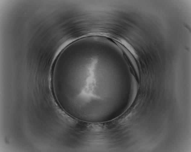 X0000091910955200709121515