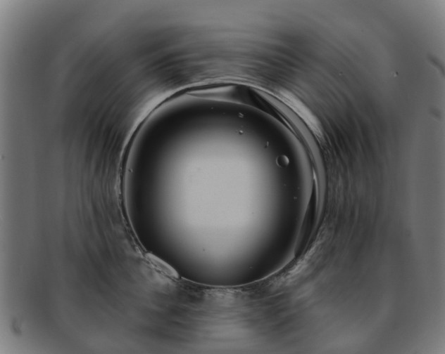 X0000091910956200709121515