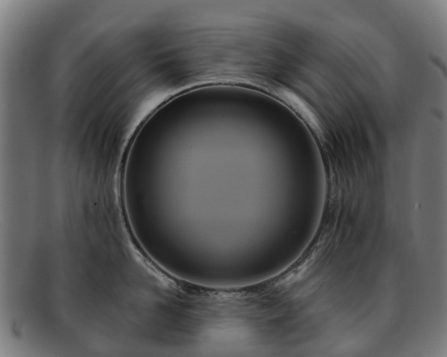 X0000091910958200709121515