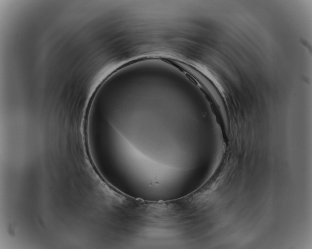 X0000091910959200709121515