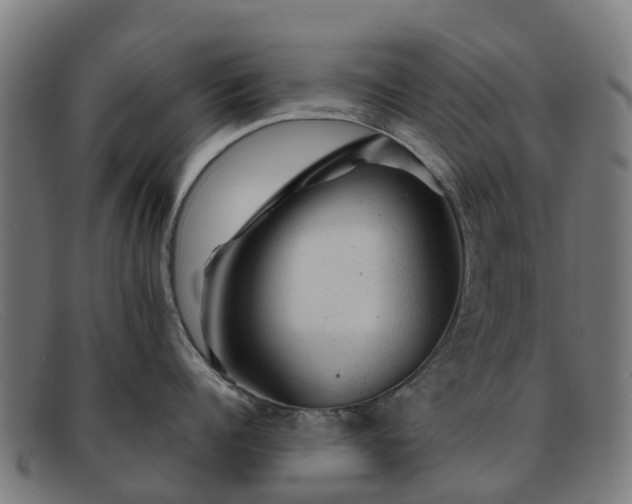 X0000091910960200709121515