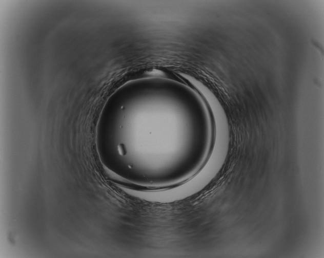 X0000091910961200709121514