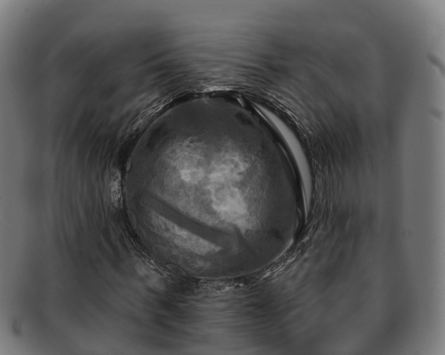 X0000091910963200709121514