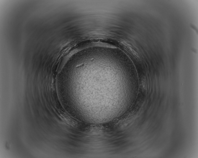 X0000091910964200709121514