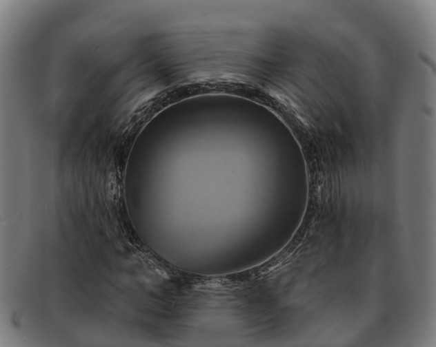 X0000091910966200709121514