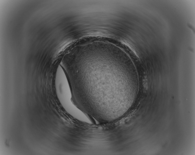 X0000091910968200709121514
