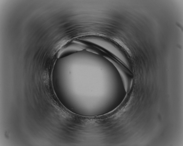 X0000091910969200709121514