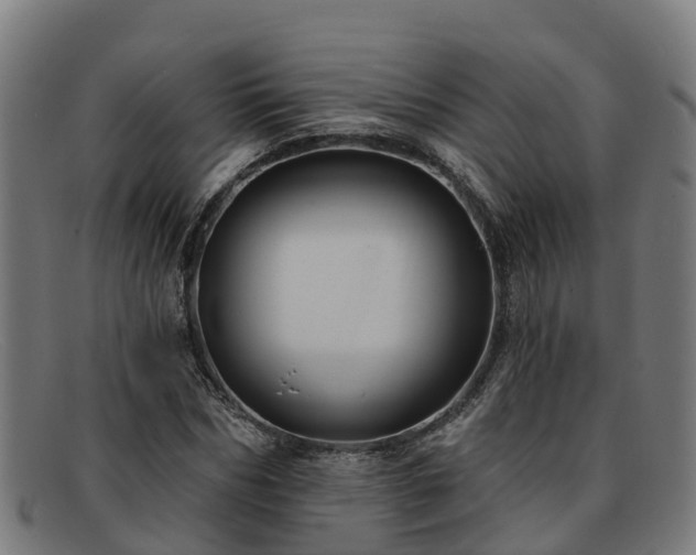 X0000091910970200709121514