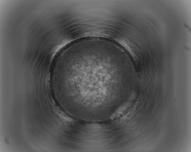 X0000091910971200709121514