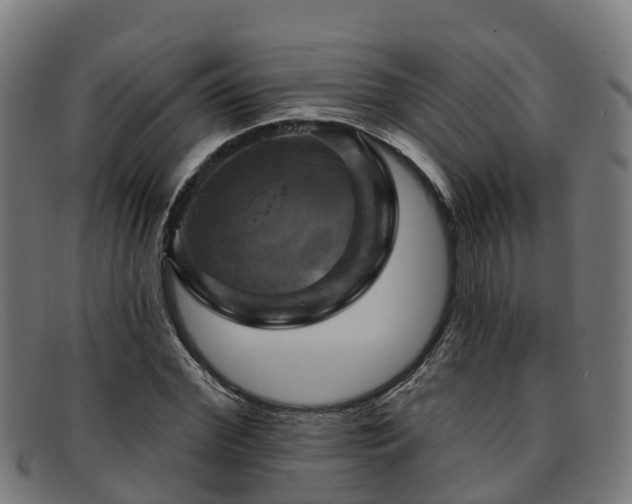 X0000091910972200709121514