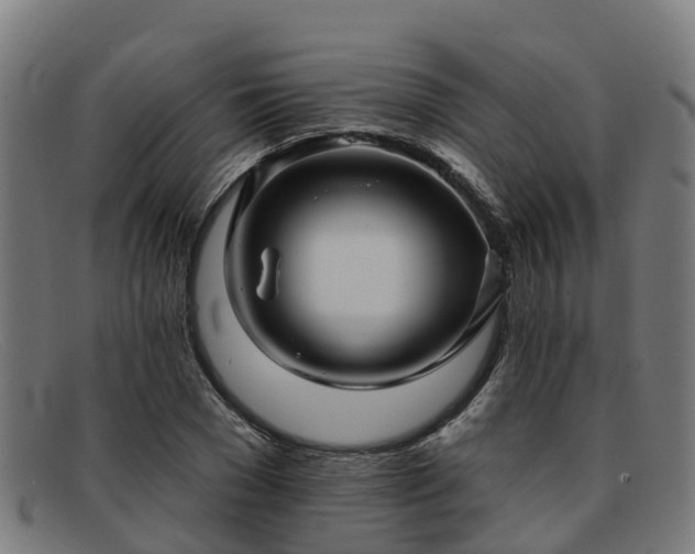 X0000091910977200709121514