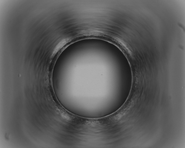 X0000091910978200709121514