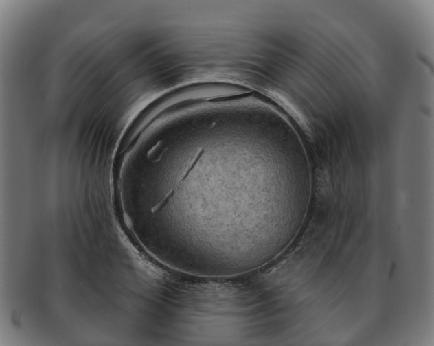 X0000091910980200709121514