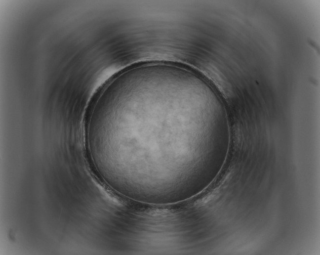 X0000091910982200709121514