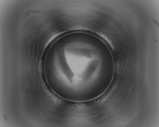 X0000091910983200709121514