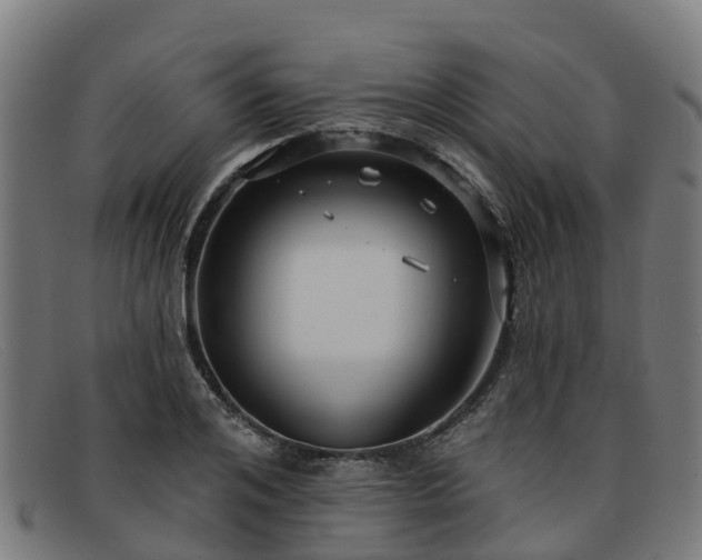 X0000091910984200709121514