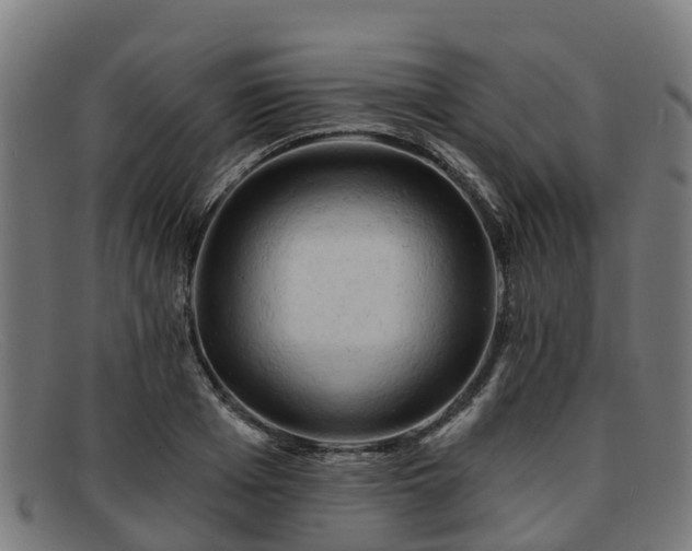 X0000091910985200709121514