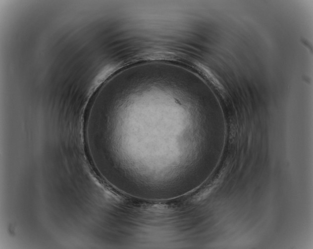 X0000091910986200709121514