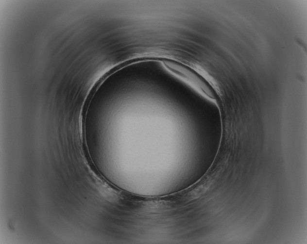 X0000091910988200709121514