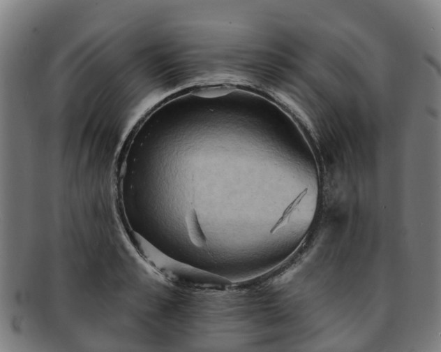 X0000091910989200709121514