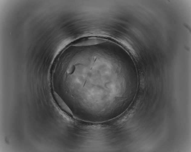 X0000091910990200709121514