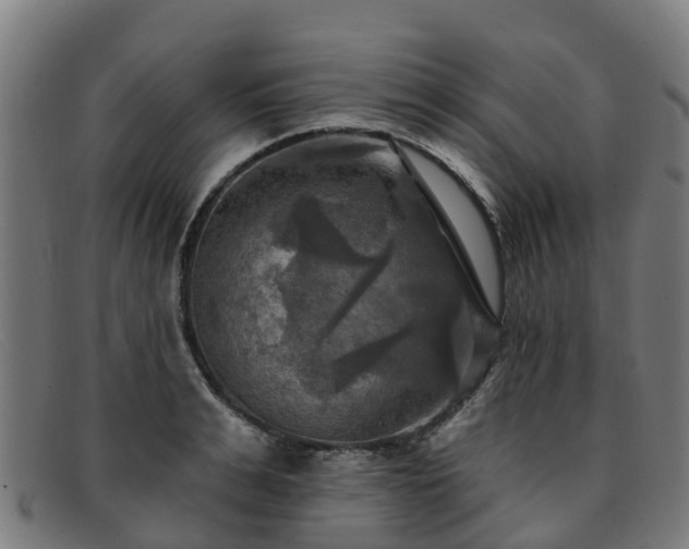 X0000091910991200709121514