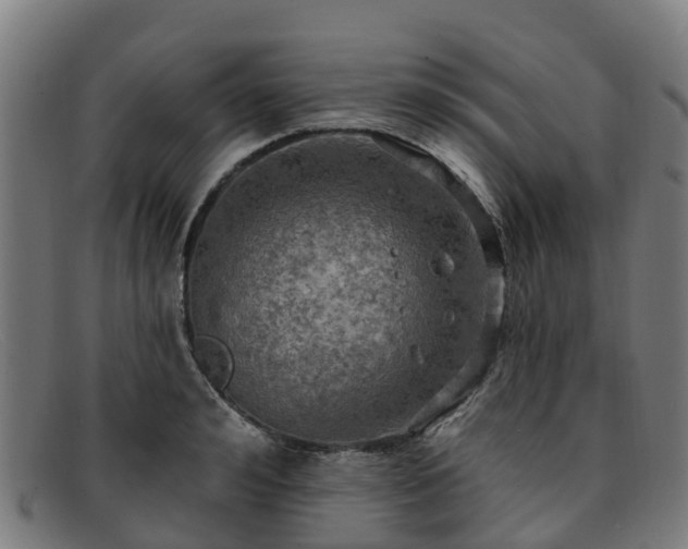 X0000091910992200709121514