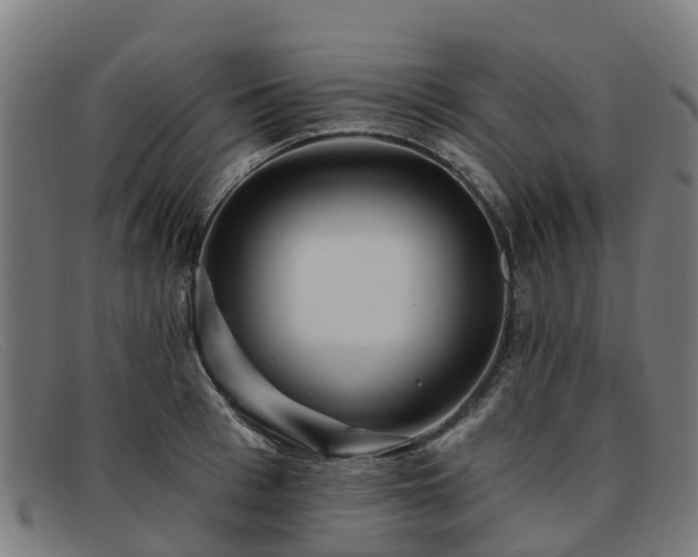 X0000091910993200709121514