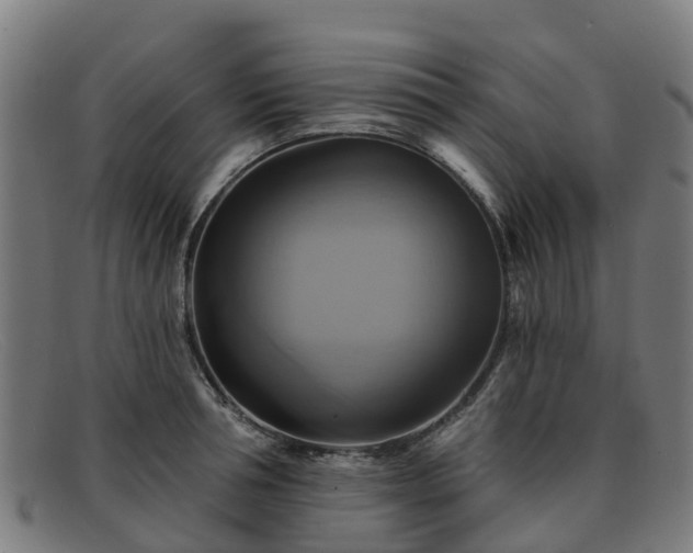 X0000091910994200709121514