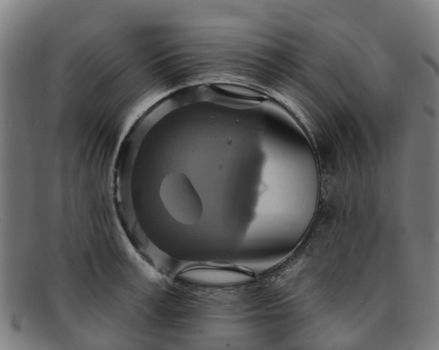 X0000091910995200709121514