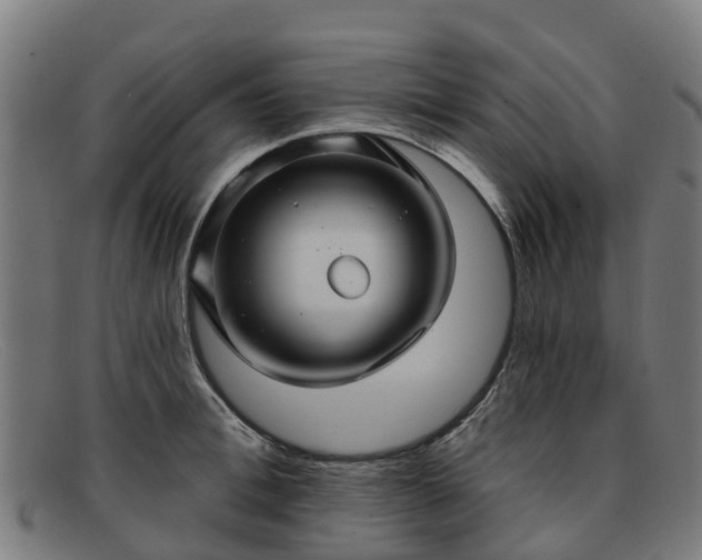 X0000091910996200709121514