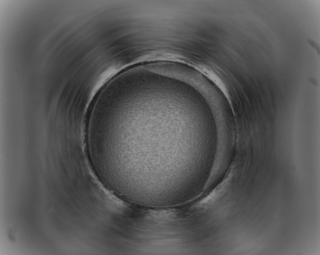 X0000091910997200709121514