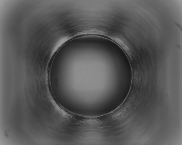 X0000091910998200709121514