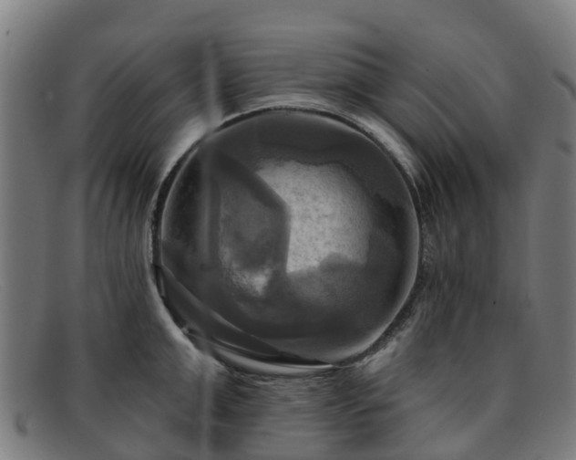 X0000091910999200709121514